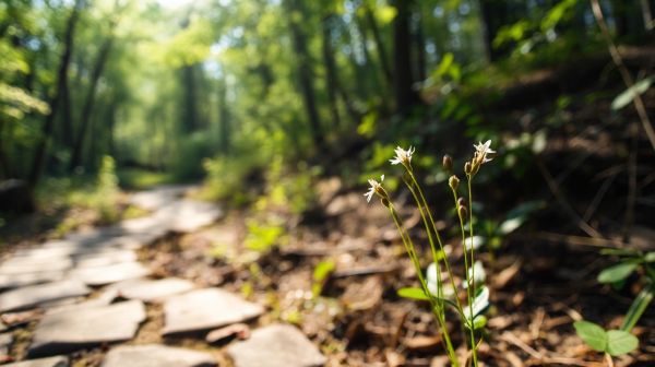 Guide essentiel sur la santé et la prévention pour mieux vivre